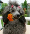 /album/foto-junior-wianella/a2-mam-8-mesiacov-jpg/